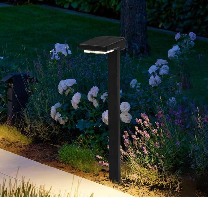 Zonne-energie LED-stakenlampen met automatische aan/uit 6 stuks LED IP65 waterdicht