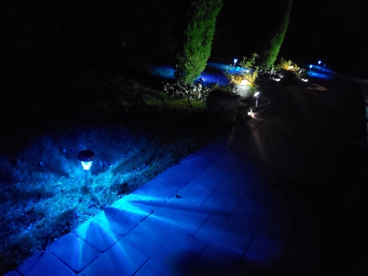 Van het Landschapslichten van de tuinweg 20h Zonne Aangedreven Zonne Aangedreven LEIDENE Openluchtlichten