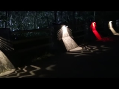 De zonnelichten KF14A van de Tuinmuur