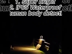 zonne aangedreven LEIDENE bewegingssensorlichten