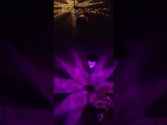 IP65 waterdicht Grondniveaulandschap die Zonne Aangedreven Landschapslichten aansteken