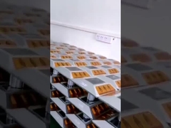 De waterdichte duurzame Zonnenagel van de Pijlerweg voor Wegveiligheid